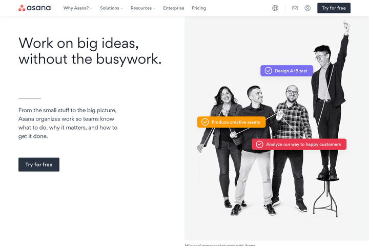 Asana website preview